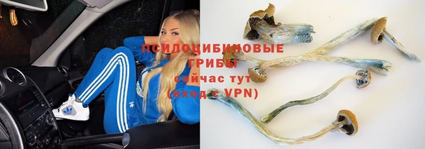 spice Белокуриха