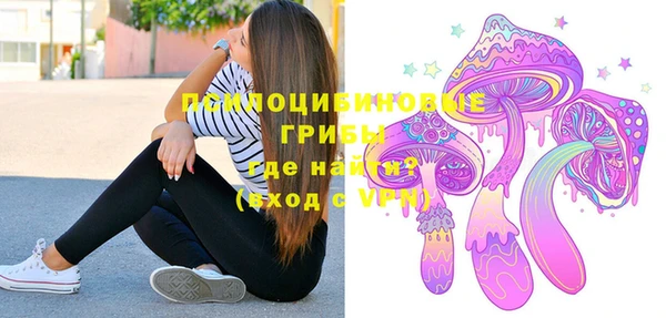 spice Белокуриха