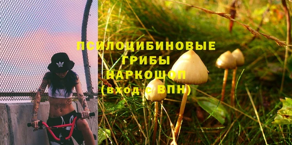 spice Белокуриха